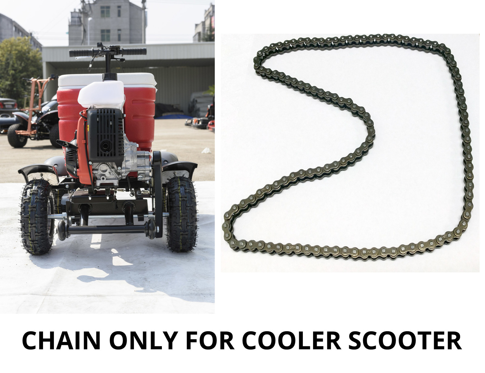 cooler scooter